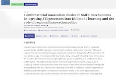 Kombination von Innovationstreibern in KMU: Bedeutung von Lernprozessen für Innovationen und die Rolle der regionalen Innovationspolitik