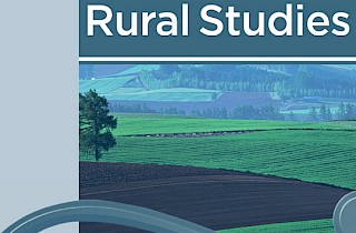 An urban-rural divide (or not?): Small firm location and the use of digital technologies